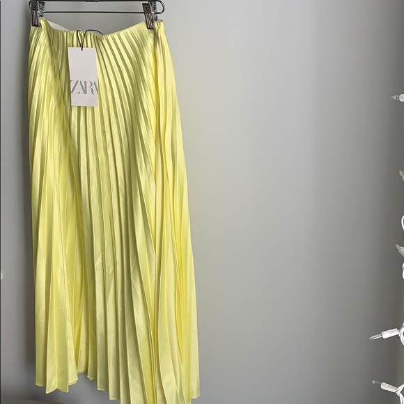 ZARA Dresses & Skirts - Pleated Skirt
